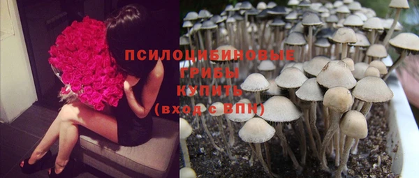 амф Алзамай