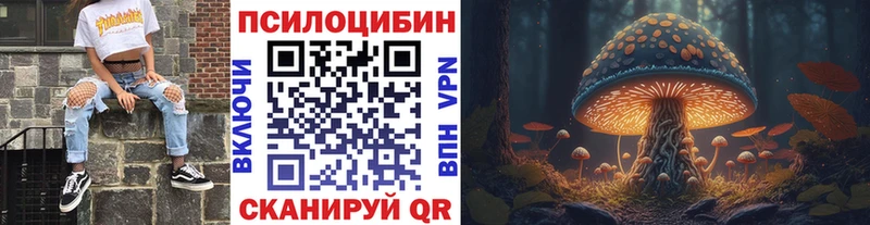darknet наркотические препараты  где купить наркоту  Лагань  Псилоцибиновые грибы Cubensis 