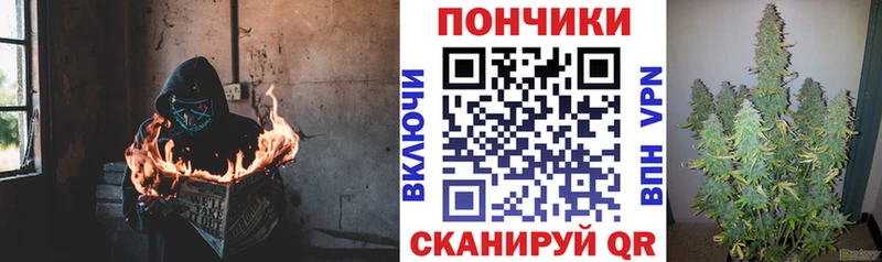 что такое наркотик  Лагань  Бошки марихуана OG Kush 